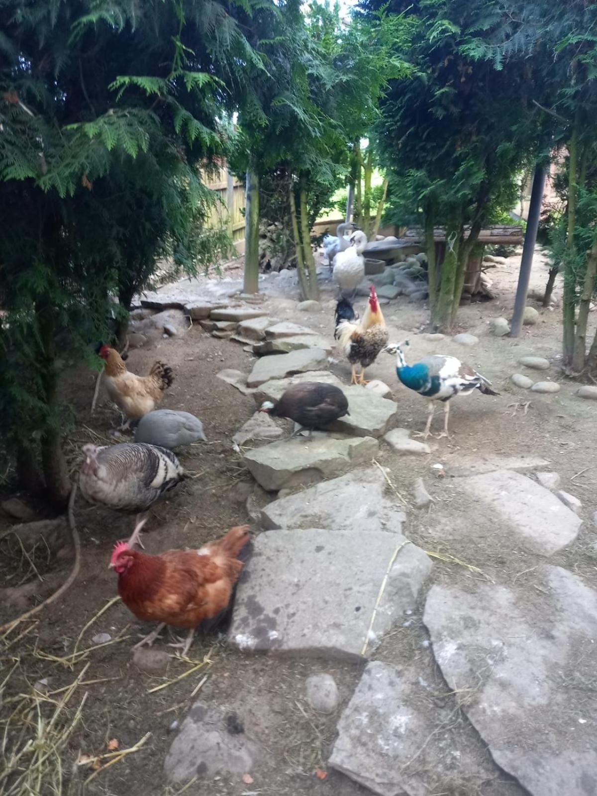 Koperkowe Rancho Beskid Wyspowy Domek Malopolskie Kamionna Kamionna  Esterno foto