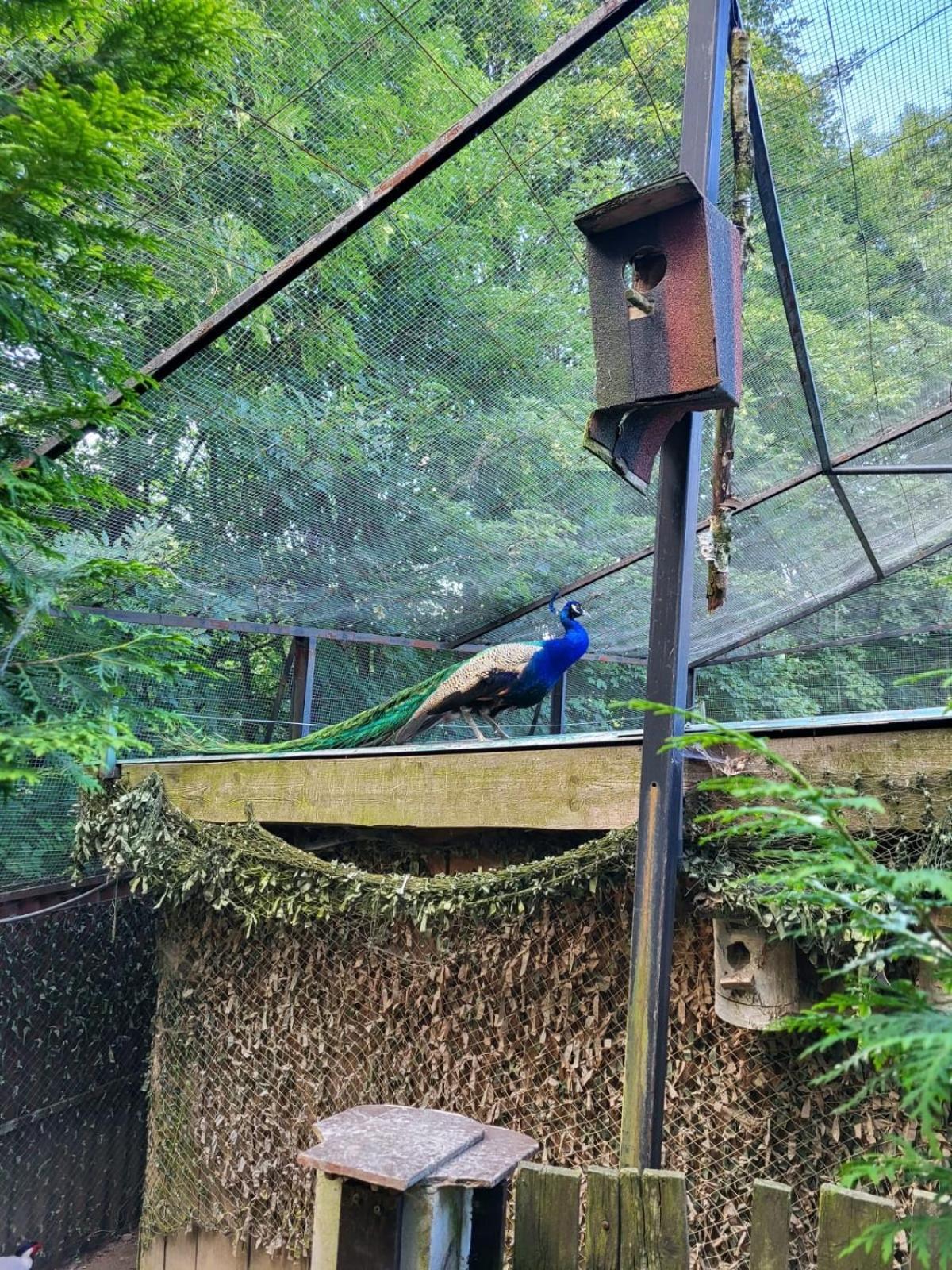 Koperkowe Rancho Beskid Wyspowy Domek Malopolskie Kamionna Kamionna  Esterno foto