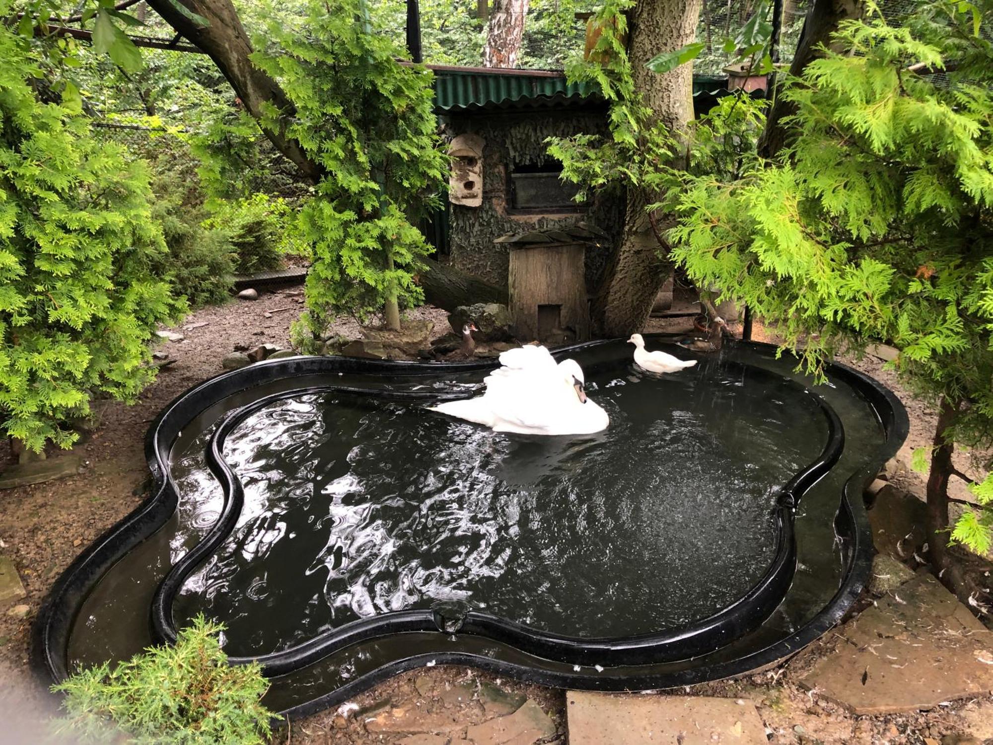 Koperkowe Rancho Beskid Wyspowy Domek Malopolskie Kamionna Kamionna  Esterno foto