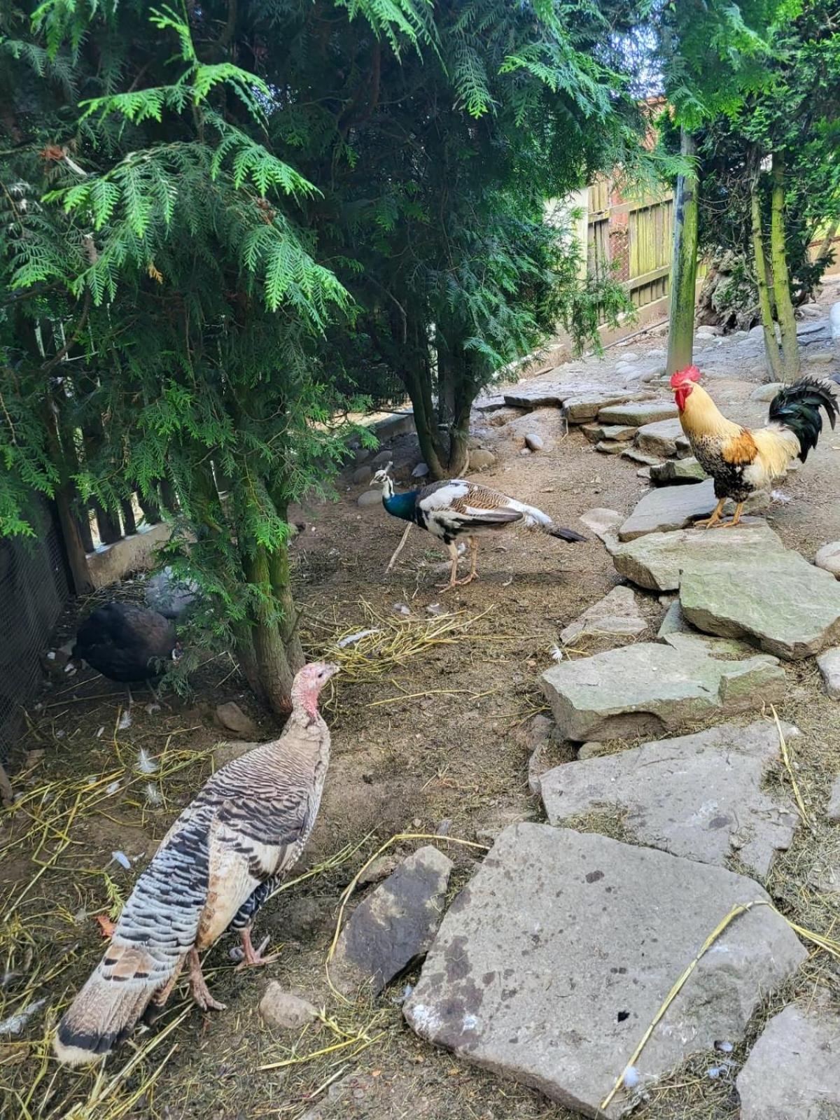 Koperkowe Rancho Beskid Wyspowy Domek Malopolskie Kamionna Kamionna  Esterno foto