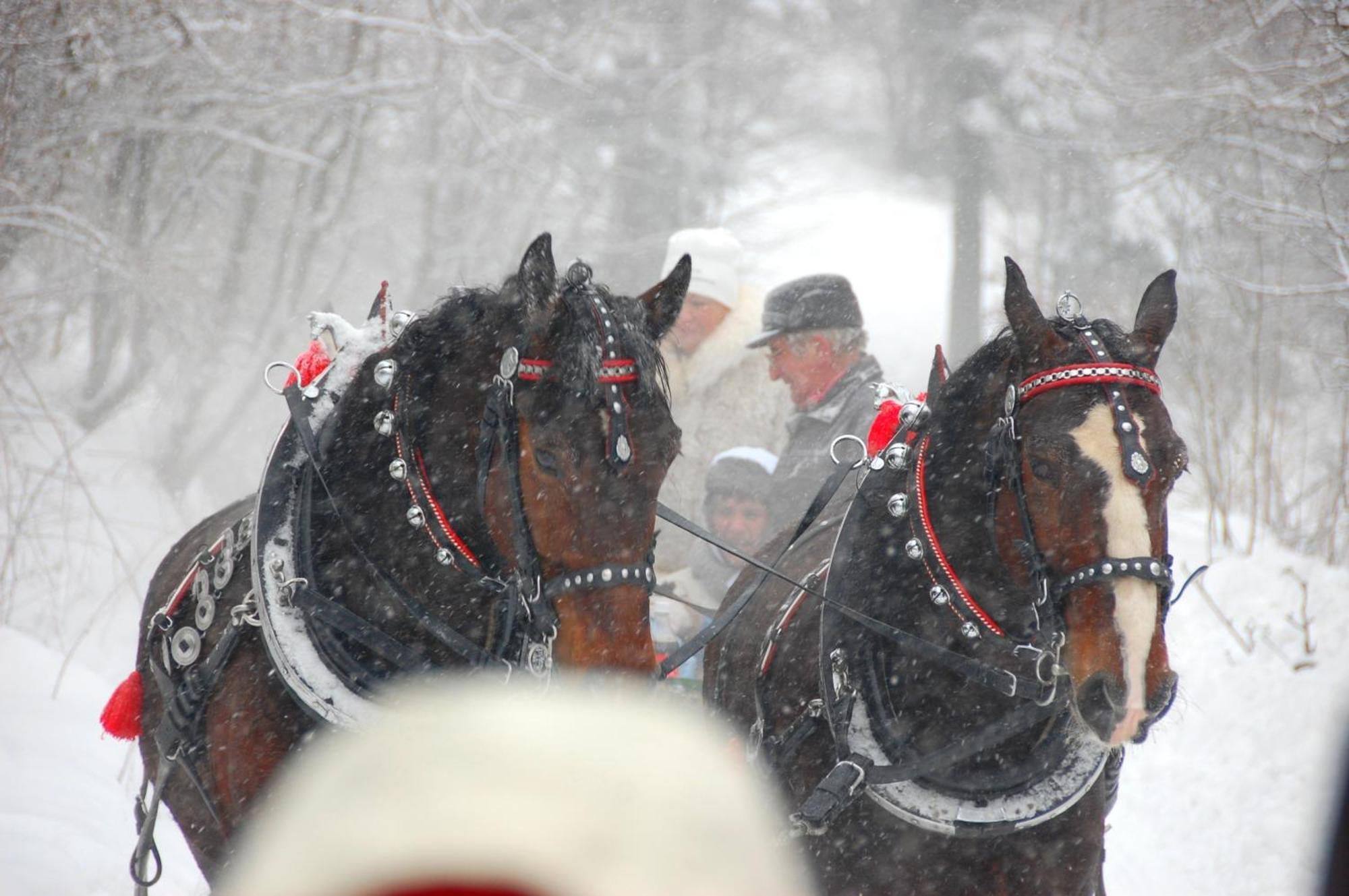 Koperkowe Rancho Beskid Wyspowy Domek Malopolskie Kamionna Kamionna  Esterno foto