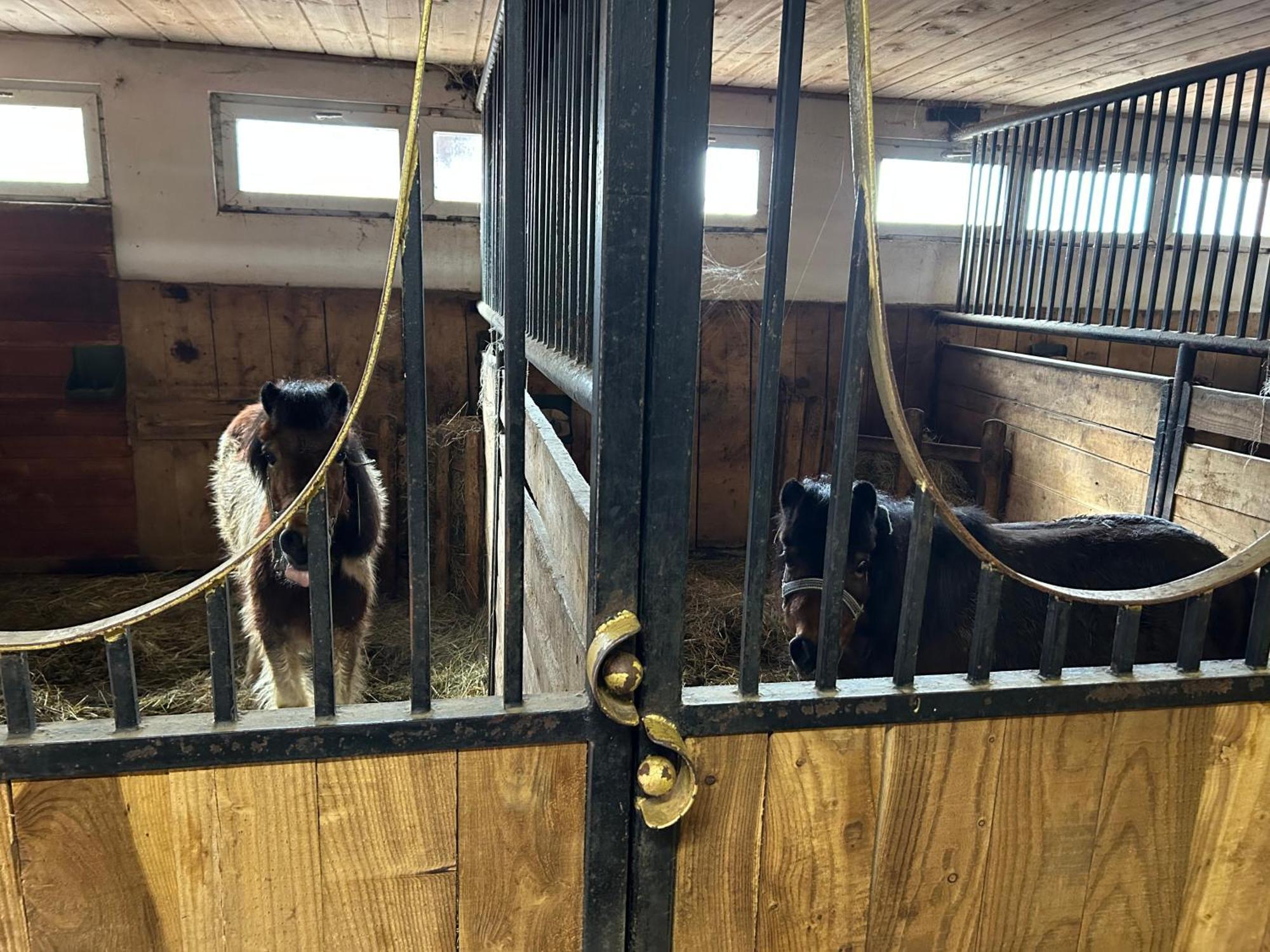 Koperkowe Rancho Beskid Wyspowy Domek Malopolskie Kamionna Kamionna  Esterno foto